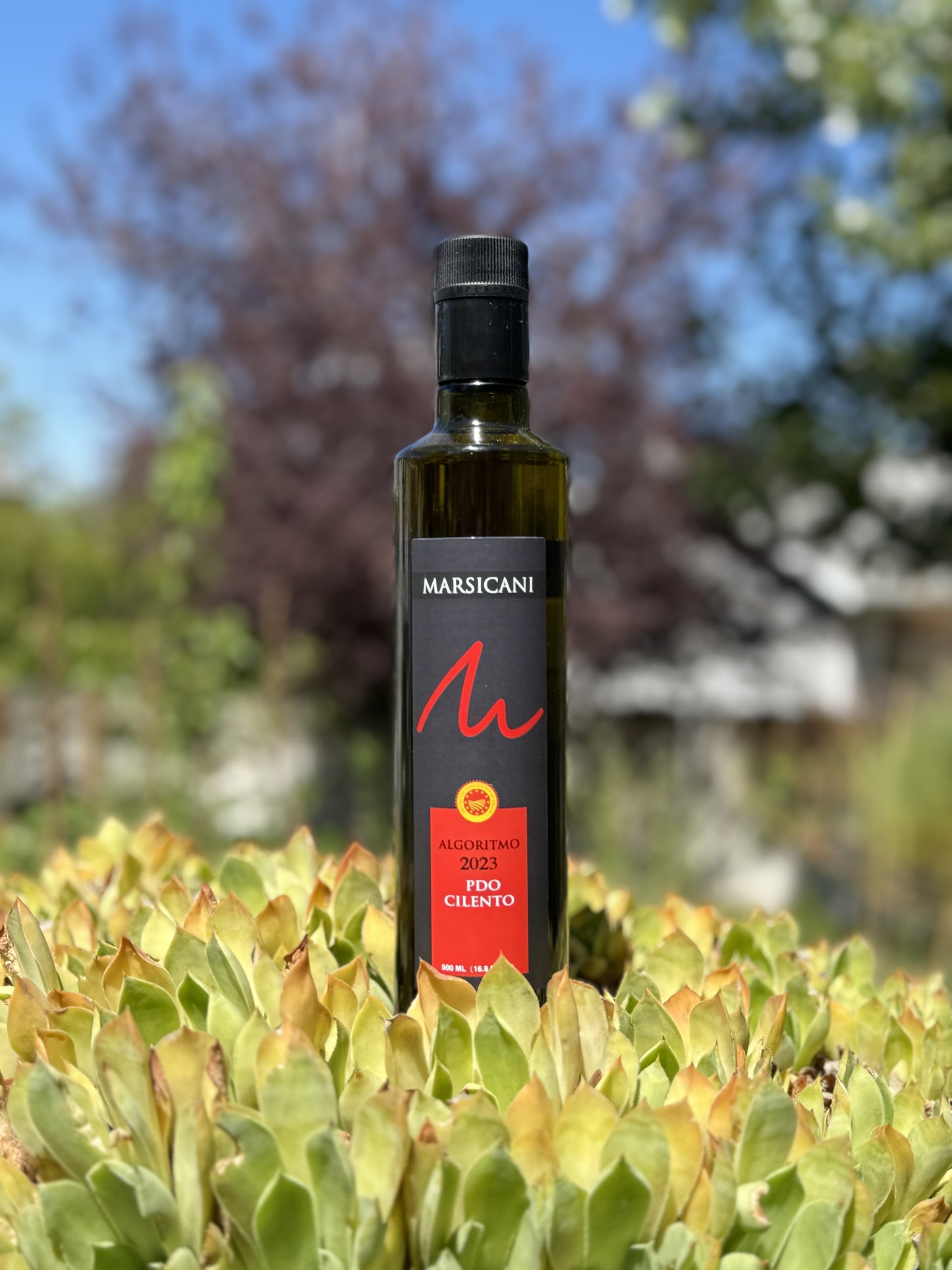 5. "ALGORITMO 2022" Extra Virgin  Olive Oil（Red Label）500ml